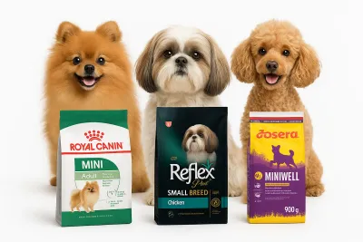 بهترین غذا برای سگ‌های نژاد کوچک ( Pomeranian, Shihtzu, Poodle )